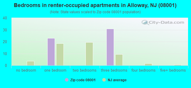 Bedrooms in renter-occupied apartments in Alloway, NJ (08001) 
