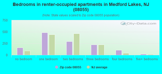 Bedrooms in renter-occupied apartments in Medford Lakes, NJ (08055) 