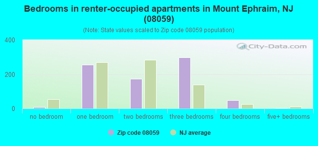 Bedrooms in renter-occupied apartments in Mount Ephraim, NJ (08059) 