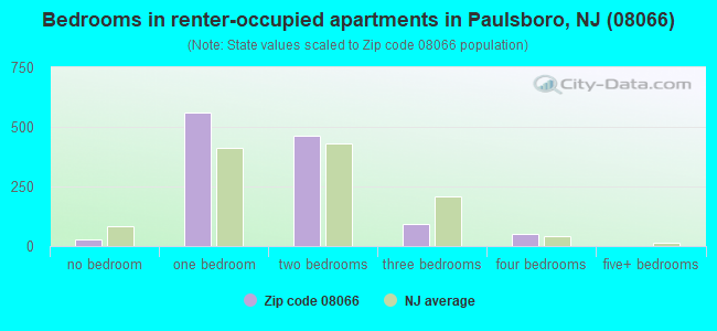 Bedrooms in renter-occupied apartments in Paulsboro, NJ (08066) 