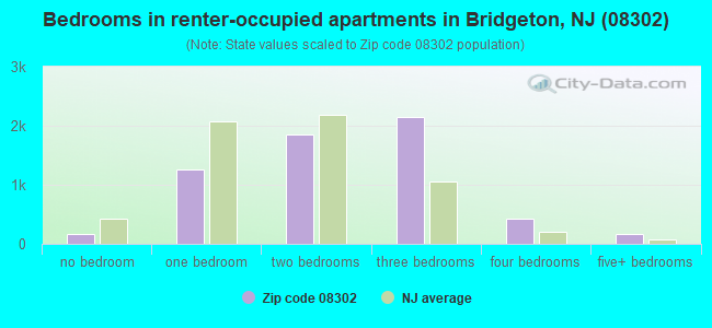 Bedrooms in renter-occupied apartments in Bridgeton, NJ (08302) 