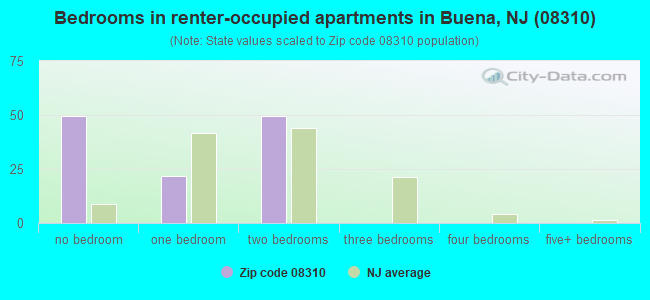 Bedrooms in renter-occupied apartments in Buena, NJ (08310) 