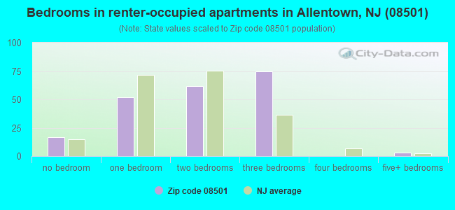 Bedrooms in renter-occupied apartments in Allentown, NJ (08501) 