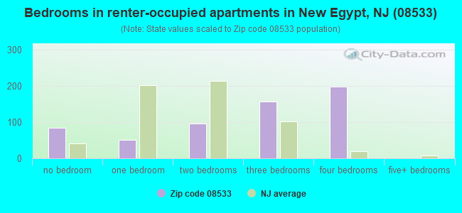 Bedrooms in renter-occupied apartments in New Egypt, NJ (08533) 