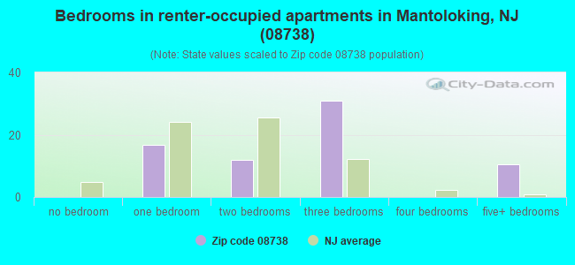 Bedrooms in renter-occupied apartments in Mantoloking, NJ (08738) 
