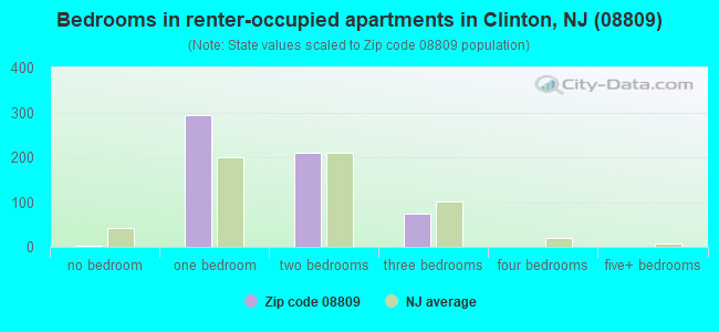 Bedrooms in renter-occupied apartments in Clinton, NJ (08809) 