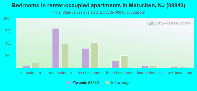 Bedrooms in renter-occupied apartments in Metuchen, NJ (08840) 