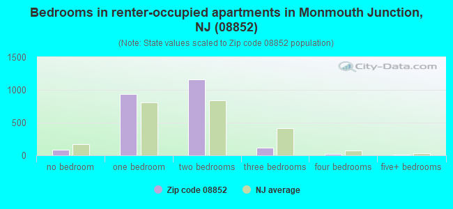 Bedrooms in renter-occupied apartments in Monmouth Junction, NJ (08852) 