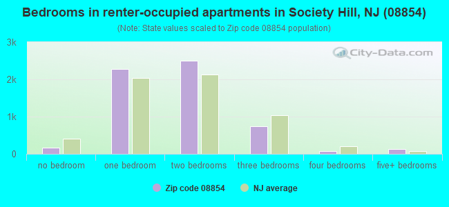 Bedrooms in renter-occupied apartments in Society Hill, NJ (08854) 