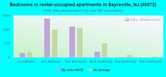 Bedrooms in renter-occupied apartments in Sayreville, NJ (08872) 