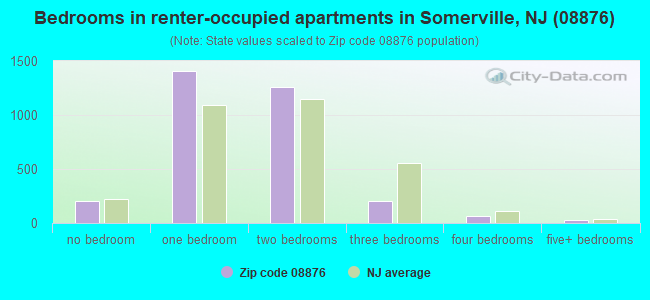 Bedrooms in renter-occupied apartments in Somerville, NJ (08876) 