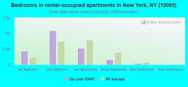 Bedrooms in renter-occupied apartments in New York, NY (10065) 