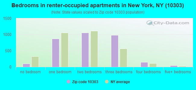 Bedrooms in renter-occupied apartments in New York, NY (10303) 