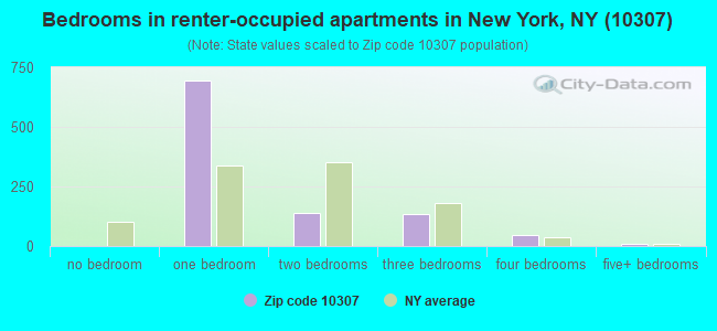 Bedrooms in renter-occupied apartments in New York, NY (10307) 