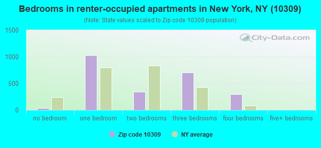 Bedrooms in renter-occupied apartments in New York, NY (10309) 