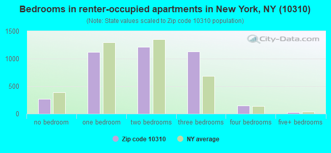 Bedrooms in renter-occupied apartments in New York, NY (10310) 