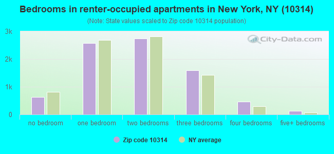 Bedrooms in renter-occupied apartments in New York, NY (10314) 