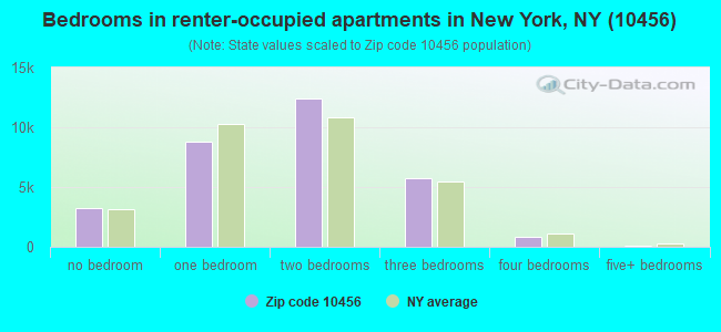 Bedrooms in renter-occupied apartments in New York, NY (10456) 