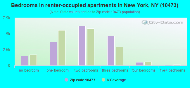 Bedrooms in renter-occupied apartments in New York, NY (10473) 