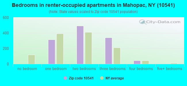 Bedrooms in renter-occupied apartments in Mahopac, NY (10541) 