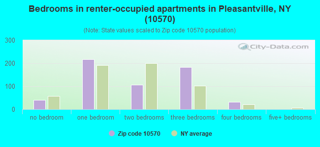 Bedrooms in renter-occupied apartments in Pleasantville, NY (10570) 