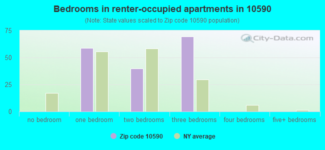 Bedrooms in renter-occupied apartments in 10590 