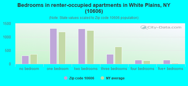 Bedrooms in renter-occupied apartments in White Plains, NY (10606) 