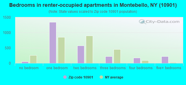 Bedrooms in renter-occupied apartments in Montebello, NY (10901) 
