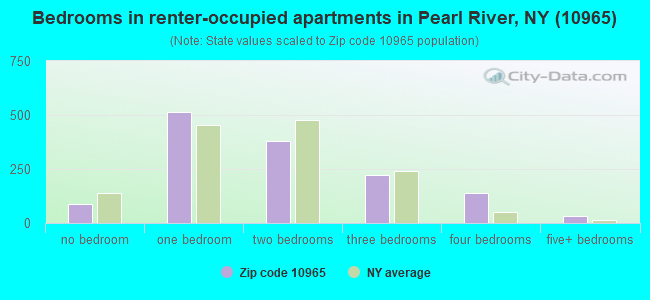 Bedrooms in renter-occupied apartments in Pearl River, NY (10965) 