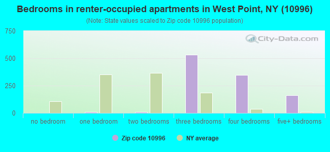 Bedrooms in renter-occupied apartments in West Point, NY (10996) 