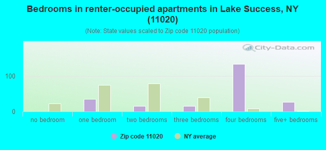 Bedrooms in renter-occupied apartments in Lake Success, NY (11020) 