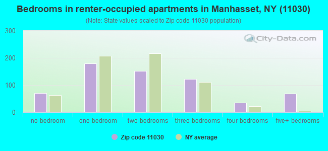 Bedrooms in renter-occupied apartments in Manhasset, NY (11030) 
