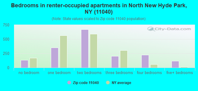 Bedrooms in renter-occupied apartments in North New Hyde Park, NY (11040) 