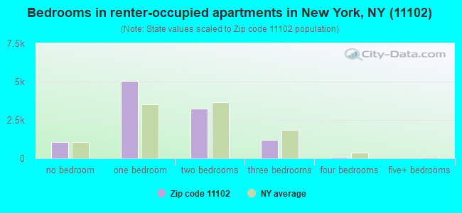 Bedrooms in renter-occupied apartments in New York, NY (11102) 
