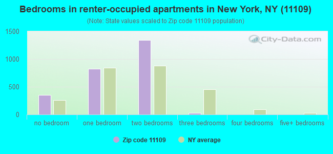 Bedrooms in renter-occupied apartments in New York, NY (11109) 
