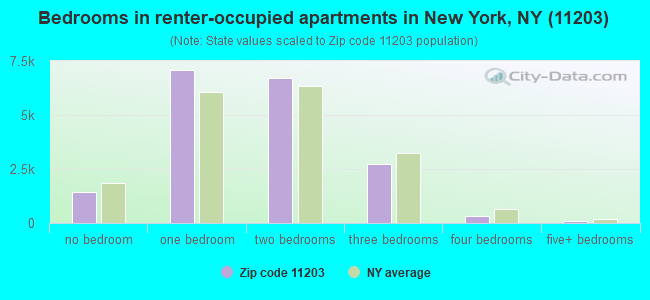 Bedrooms in renter-occupied apartments in New York, NY (11203) 