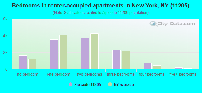 Bedrooms in renter-occupied apartments in New York, NY (11205) 