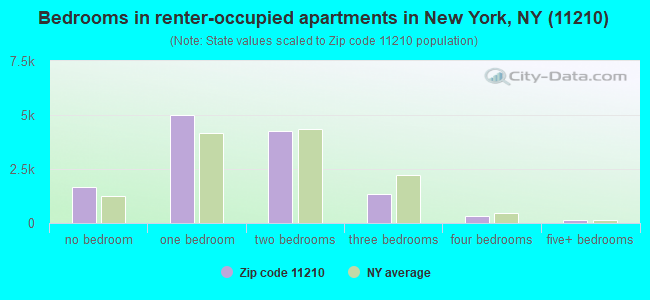 Bedrooms in renter-occupied apartments in New York, NY (11210) 