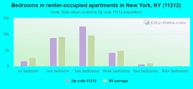 Bedrooms in renter-occupied apartments in New York, NY (11212) 