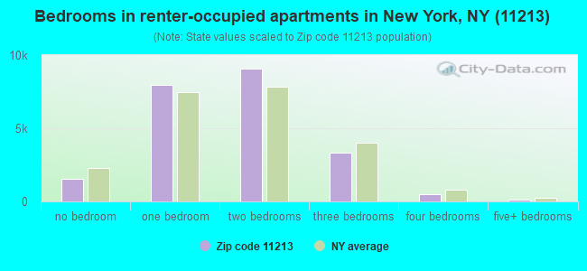 Bedrooms in renter-occupied apartments in New York, NY (11213) 