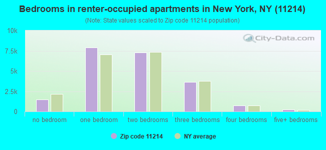 Bedrooms in renter-occupied apartments in New York, NY (11214) 