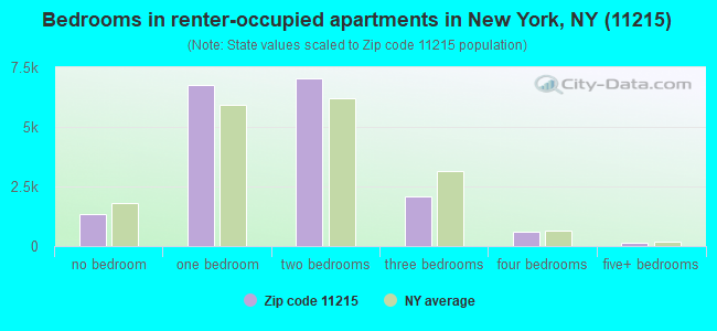 Bedrooms in renter-occupied apartments in New York, NY (11215) 