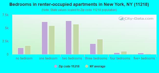 Bedrooms in renter-occupied apartments in New York, NY (11218) 