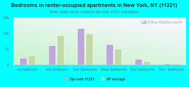 Bedrooms in renter-occupied apartments in New York, NY (11221) 