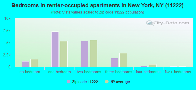 Bedrooms in renter-occupied apartments in New York, NY (11222) 
