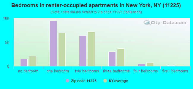 Bedrooms in renter-occupied apartments in New York, NY (11225) 