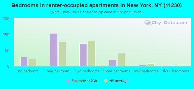Bedrooms in renter-occupied apartments in New York, NY (11230) 