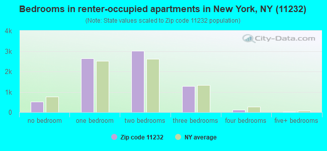 Bedrooms in renter-occupied apartments in New York, NY (11232) 