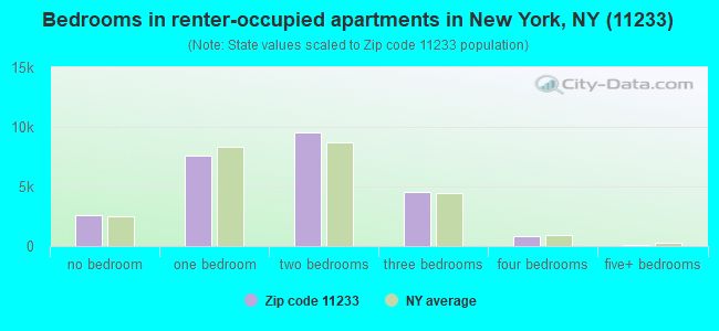 Bedrooms in renter-occupied apartments in New York, NY (11233) 