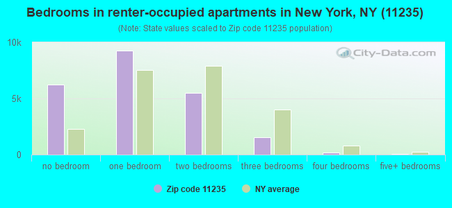 Bedrooms in renter-occupied apartments in New York, NY (11235) 